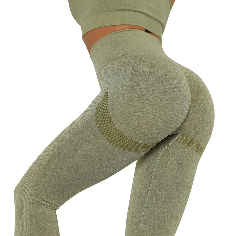 46786981429524|46786981462292|46786981495060|46786981527828